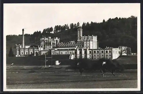 AK Rheinfelden, Brauerei Feldschlösschen