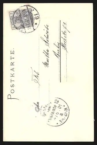 Lithographie Spinne am Abend, glückbringend und labend!