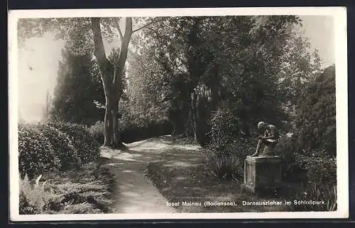 AK Insel Mainau, Dornauszieher im Schlosspark