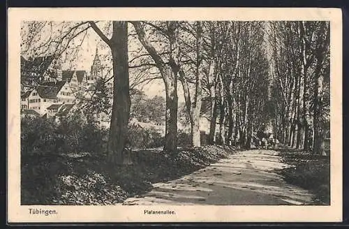 AK Tübingen, Platanenallee mit Stadtblick