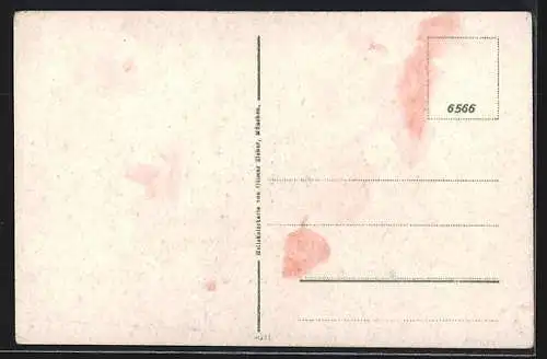 AK Riesa, Rathaus u. Klosterkirche, Fahrrad