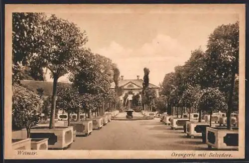 AK Weimar / Thüringen, Orangerie mit Belvedere