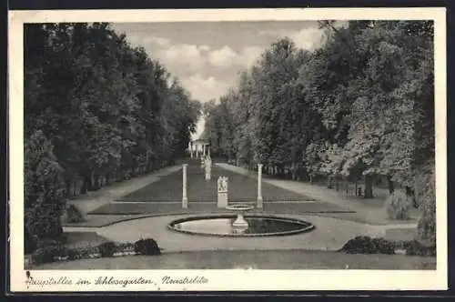 AK Neustrelitz, Hauptallee im Schlossgarten