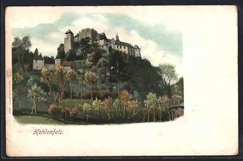 AK Hohlenfels, Sicht auf die Burg