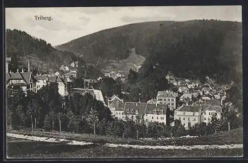AK Triberg, Teilansicht