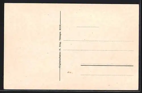 AK Triberg, Teilansicht