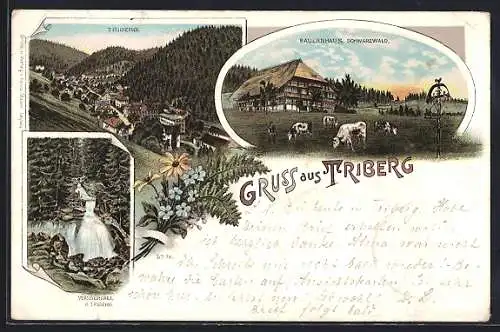 Lithographie Triberg, Ortsansicht, Wasserfall, Bauernhaus