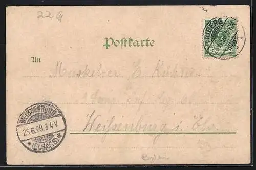 Lithographie Triberg, Ortsansicht, Wasserfall, Bauernhaus