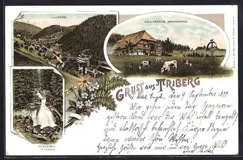 Lithographie Triberg, Ortsansicht, Wasserfall, Bauernhaus