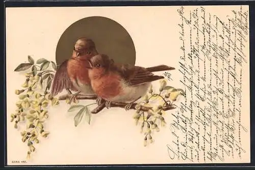 AK Zwei Vögel Rotkehlchen sitzen auf einem blühenden Zweig