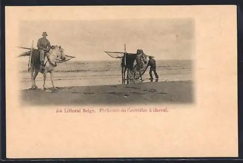 AK Au littoral Belge, Pecheurs de Crevettes à cheval