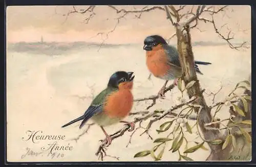 Künstler-AK M. Munk Nr. 474: Vögel sitzen auf dem winterlichen Ast, Herzliche Neujahrsgrüsse!