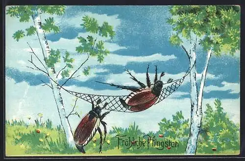 AK Maikäfer in einer Hängematte