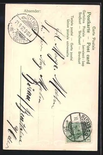 Präge-AK Mädchen mit Haube, Ornament-Rahmen, Jugendstil