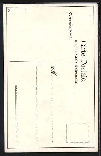 AK Constantinople, Beauté Turque