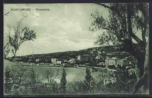 AK Portorose, Panorama