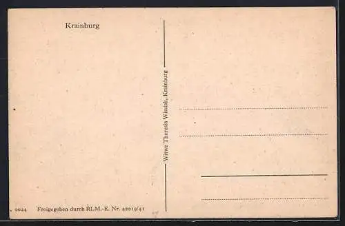AK Krainburg / Kranj, Blick zum Ort mit Gebirgspanorama