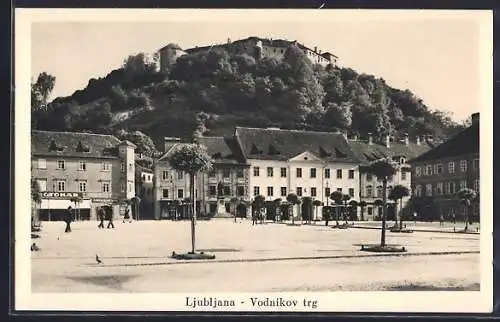 AK Ljubljana, Vodnikov trg