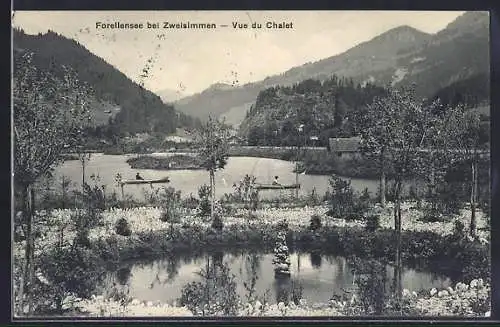 AK Zweisimmen, Ruderboote auf dem Forellensee, Vue du Chalet