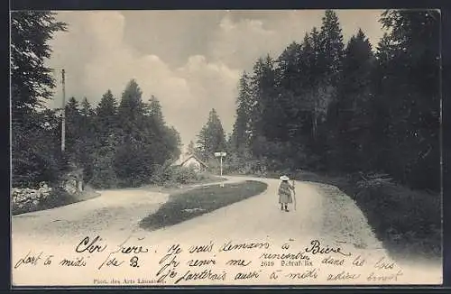 AK Pétrafélix, Strassengabelung am Waldrand