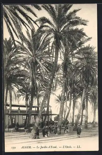 AK Alger, Le Jardin d`Essai, L`Oasis