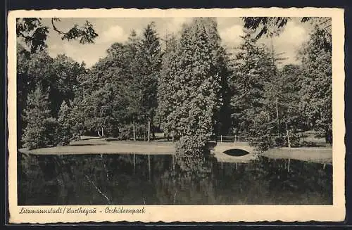 AK Litzmannstadt /Warthegau, Teich im Orchideenpark