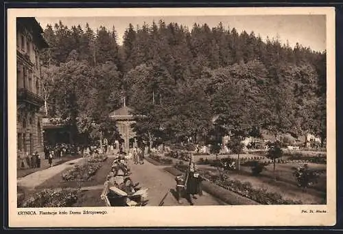 AK Krynica, Platacje kolo Domu Zdrojowego