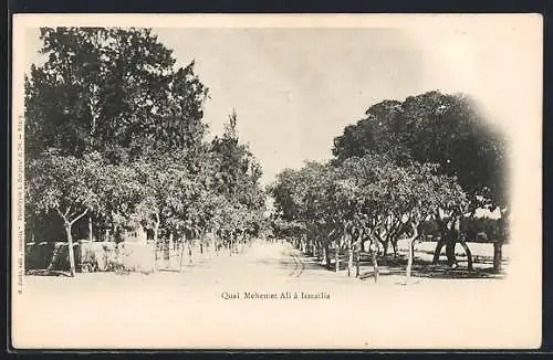 AK Ismailia, Quai Mehemet Ali