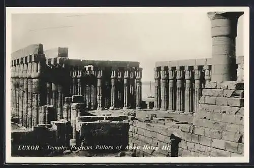 AK Luxor, Temple: Papyrus PPillars of Amen Hotep III.