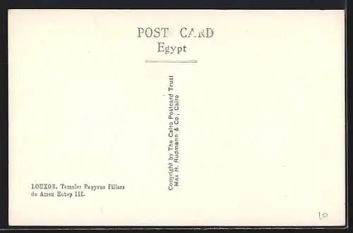 AK Luxor, Temple: Papyrus PPillars of Amen Hotep III.