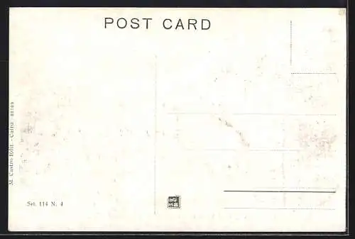 AK Cairo, General View of the Citadel and Mohamed Aly Mosq