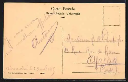 AK Alexandrie, Jardin Nouzah