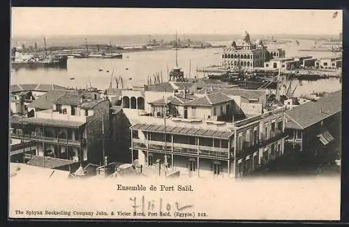 AK Port-Said, Ensemble de Port Said
