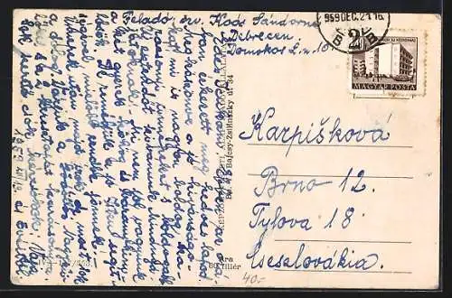 AK Debrecen, Látkép