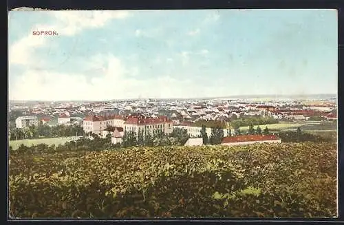 AK Sopron, Panorama