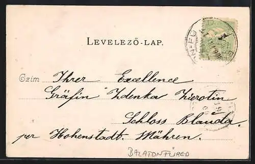 AK Balatonfüred, Gyogyterem