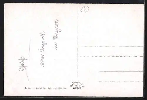 AK Hódmezövásárhely, Kirche, Ortspartien