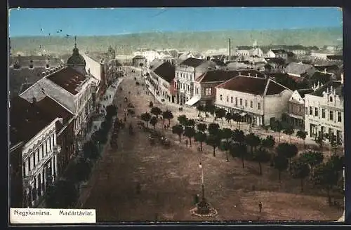 AK Nagykanizsa, Madartavlat