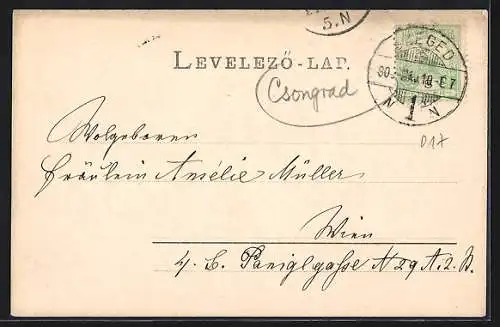 AK Szeged, Teilansicht mit Anlage u. Strasse aus der Vogelschau