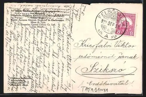 AK Tatabanya, Totalansicht von einer Anhöhe aus