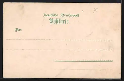 Lithographie Erfurt, Dom und St. Severikirche, Wartburg, Kaiser Wilhelm Denkmal a. d. Kyffhäuser, Rudelsburg u. Saaleck