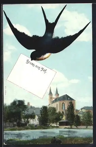 Schwalben-AK Hof / Saale, Kirche im Ortsbild