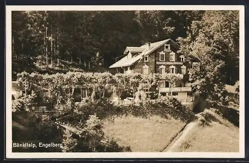 AK Engelberg, Pension-Restaurant Waldhaus Bänklialp
