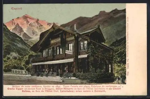 AK Zermatt, Hotel Emil Egger