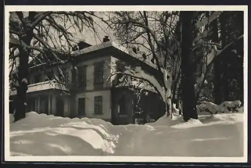 AK Zürich, Belvoirpark, Restaurant und Schweiz. Wirtefachschule im Schnee