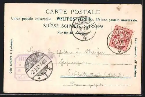 AK Flüelen, Hotel und Pension zum weissen Kreuz, Müller-Betschen, Propr.