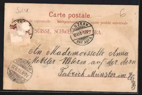 Lithographie Lucerne, Hotel Du Rutli, Ortsansicht