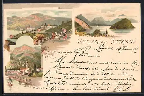Lithographie Vitznau, Flora Alpina