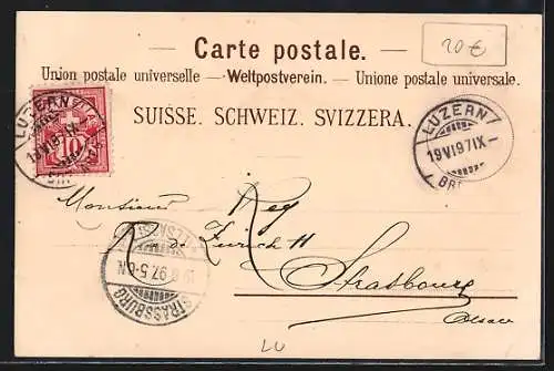 Lithographie Vitznau, Flora Alpina