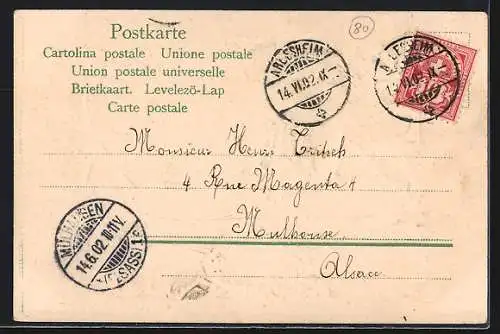 Lithographie Luzern, Löwen-Denkmal, Kranz mit Flaggen